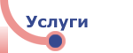 Услуги